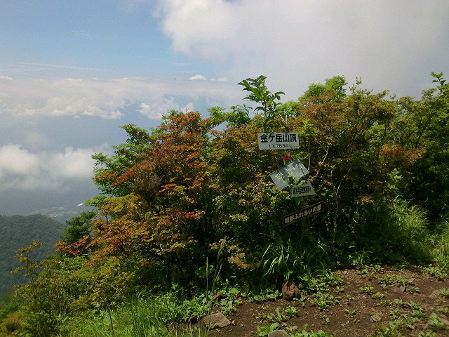 金ヶ岳1