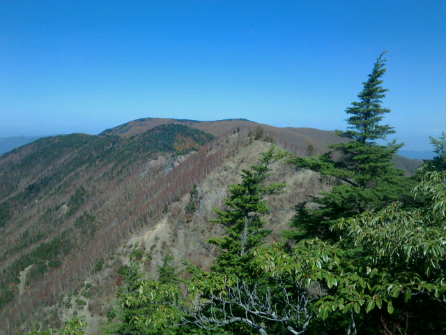 西仙波と東仙波の間にある岩場から見た和名倉山方面