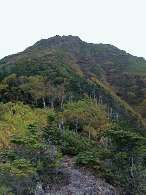 西側から見た阿弥陀岳