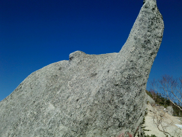 イルカに見える岩