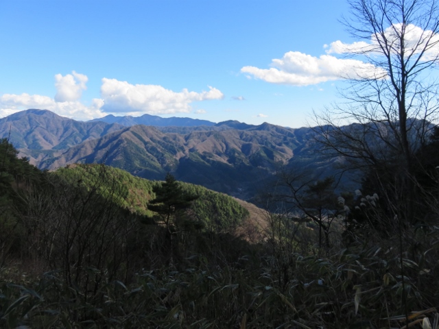 丹沢の山々