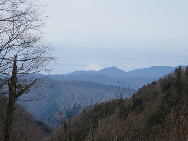 堂所の先にある折り返し地点からの富士山