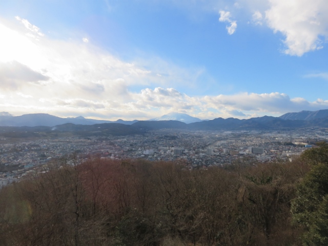 権現山の展望台から富士山