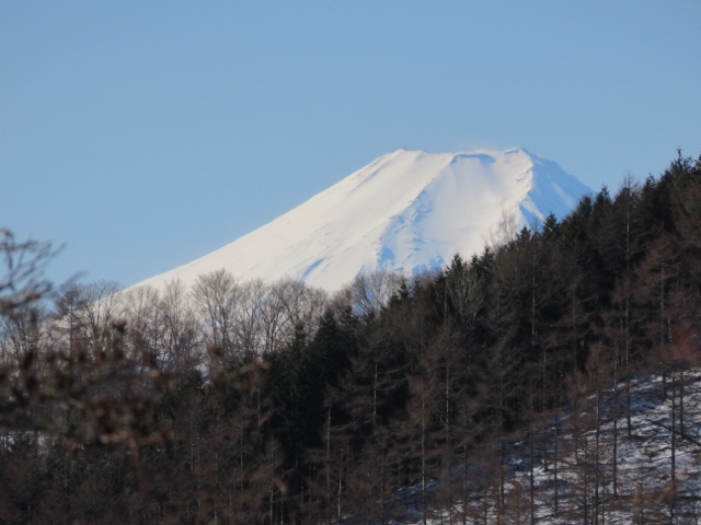 三ノ木戸林道分岐からの長い登り坂から富士山