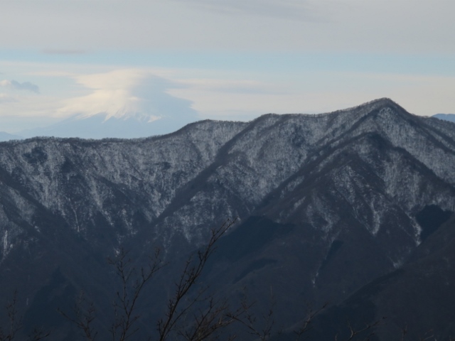 天目山山頂から鷹ノ巣山と富士山