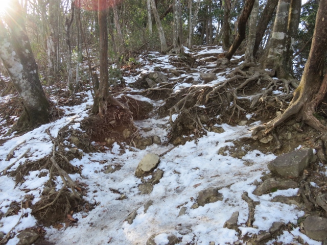大岳山手前のガチガチに凍った登山道