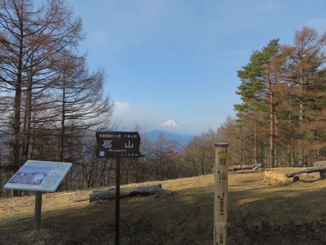 扇山山頂から富士山