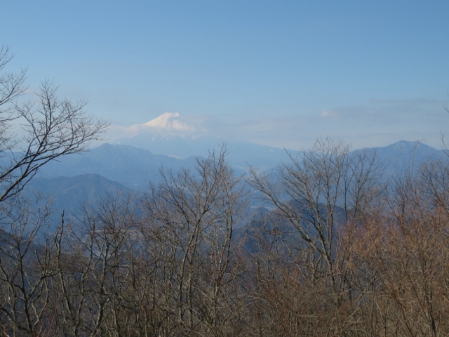 権現山山頂から富士山