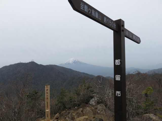 本社ヶ丸から三ツ峠山と富士山