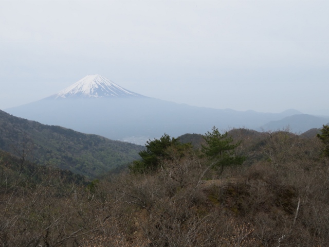 清八山から富士山