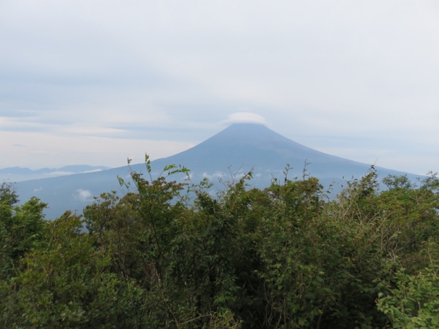 平坦地からの富士山