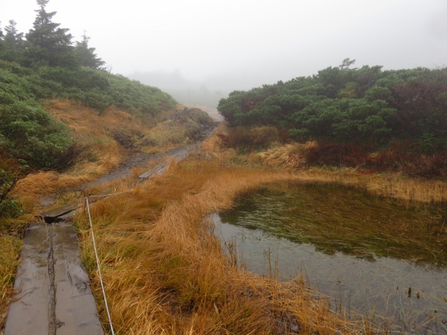 八甲田大岳への登山道１