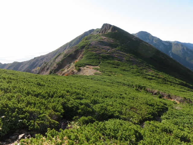 東天井岳の南側の登山道２