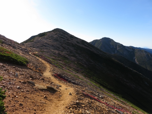 東天井岳の南側の登山道３