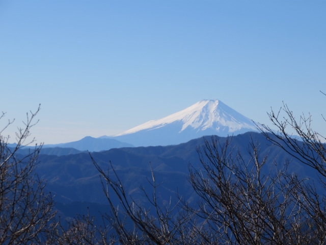 川苔山から富士山アップ