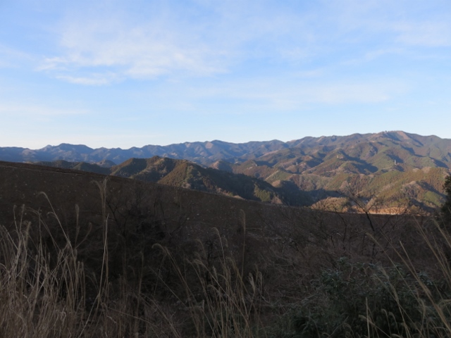 栃屋谷林道からの景色