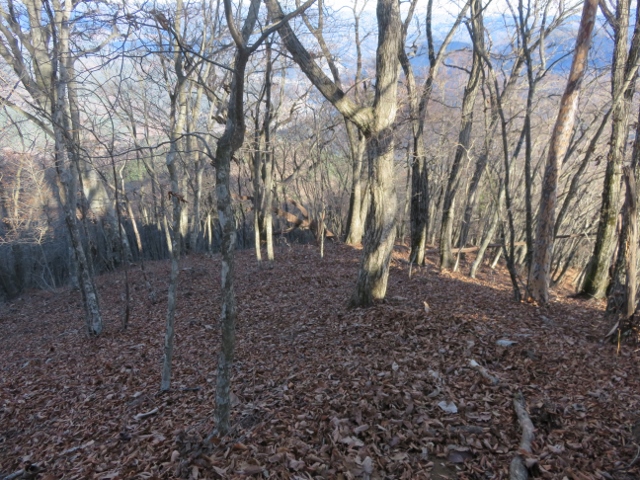 鶴ヶ鳥屋山の山頂からすぐの落葉で不明瞭な登山道