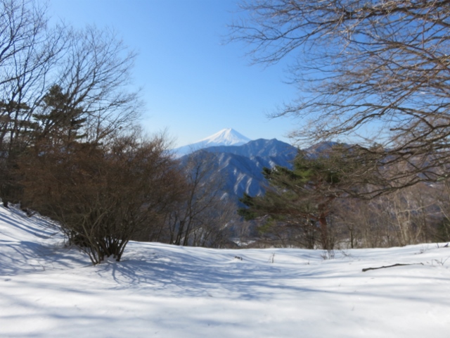 檜平から富士山と三ツ峠山