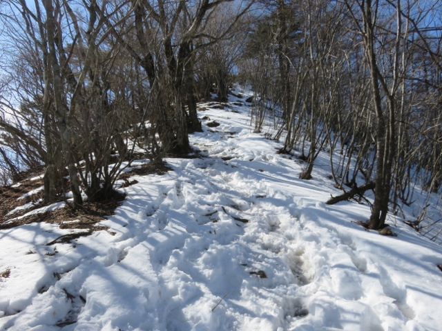 滝子山山頂までの最後の急坂