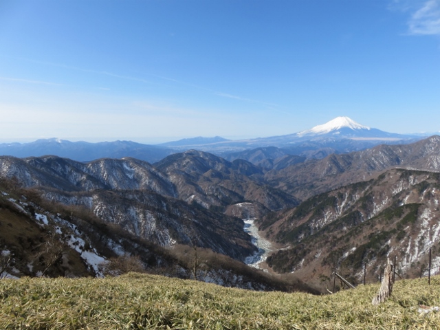 丹沢山までの登山道から富士山１