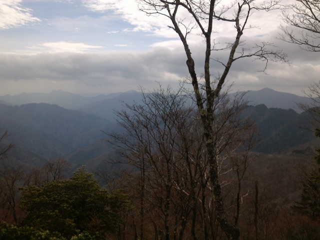 酉谷山山頂からの景色（大岳山方面）