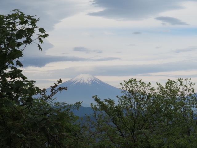 御前山の山頂手前から富士山