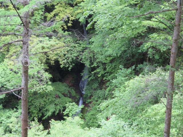 林道から少し見えた栃寄大滝（ゴハンギョウの滝）