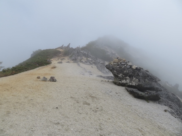 観音岳への登山道２（奥に見えるピークが観音岳山頂）