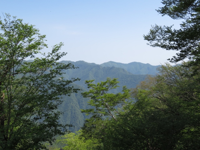 鷹ノ巣山山頂から1分程歩いたところからの景色１