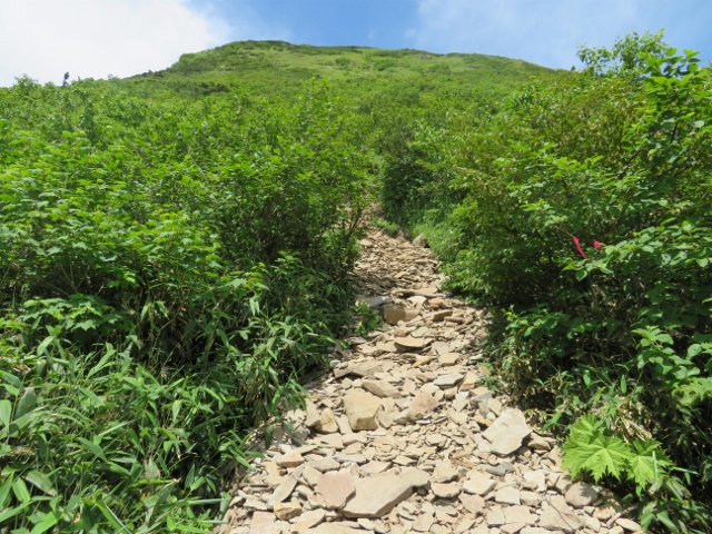 武尊山の山頂直下の滑りやすい岩がゴロゴロしている登山道